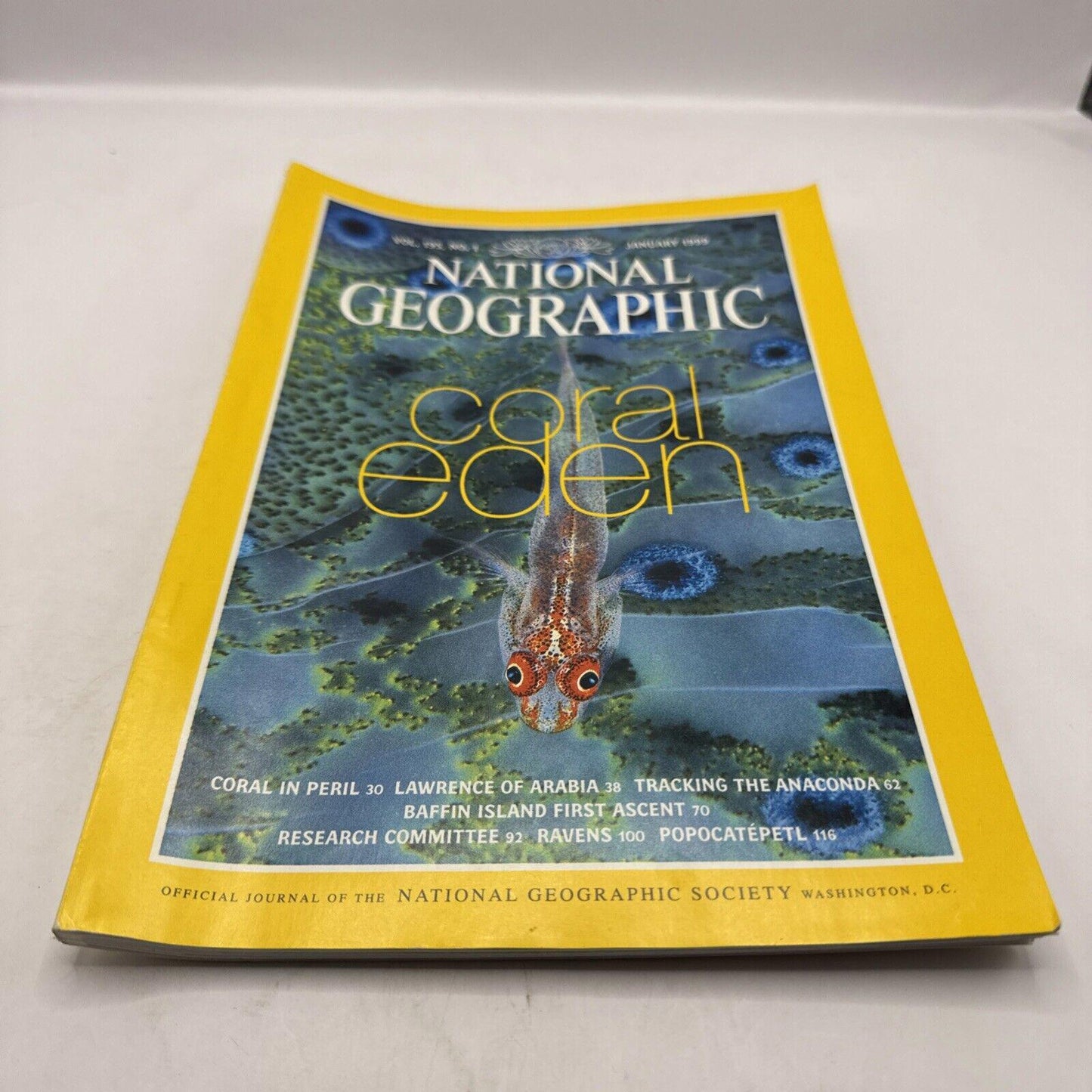 National Geographic Magazine January 1999 Coral Eden Issue Vol. 195 No. 1